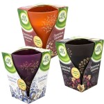 Свеча ароматизированная, AIRWICK (Эрвик) 155 г Золотые Сезоны Пряное Яблоко в стакане