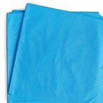 Простыня нестерильная одноразовая, р. 200смх70см 1 шт пл. 25 голубая